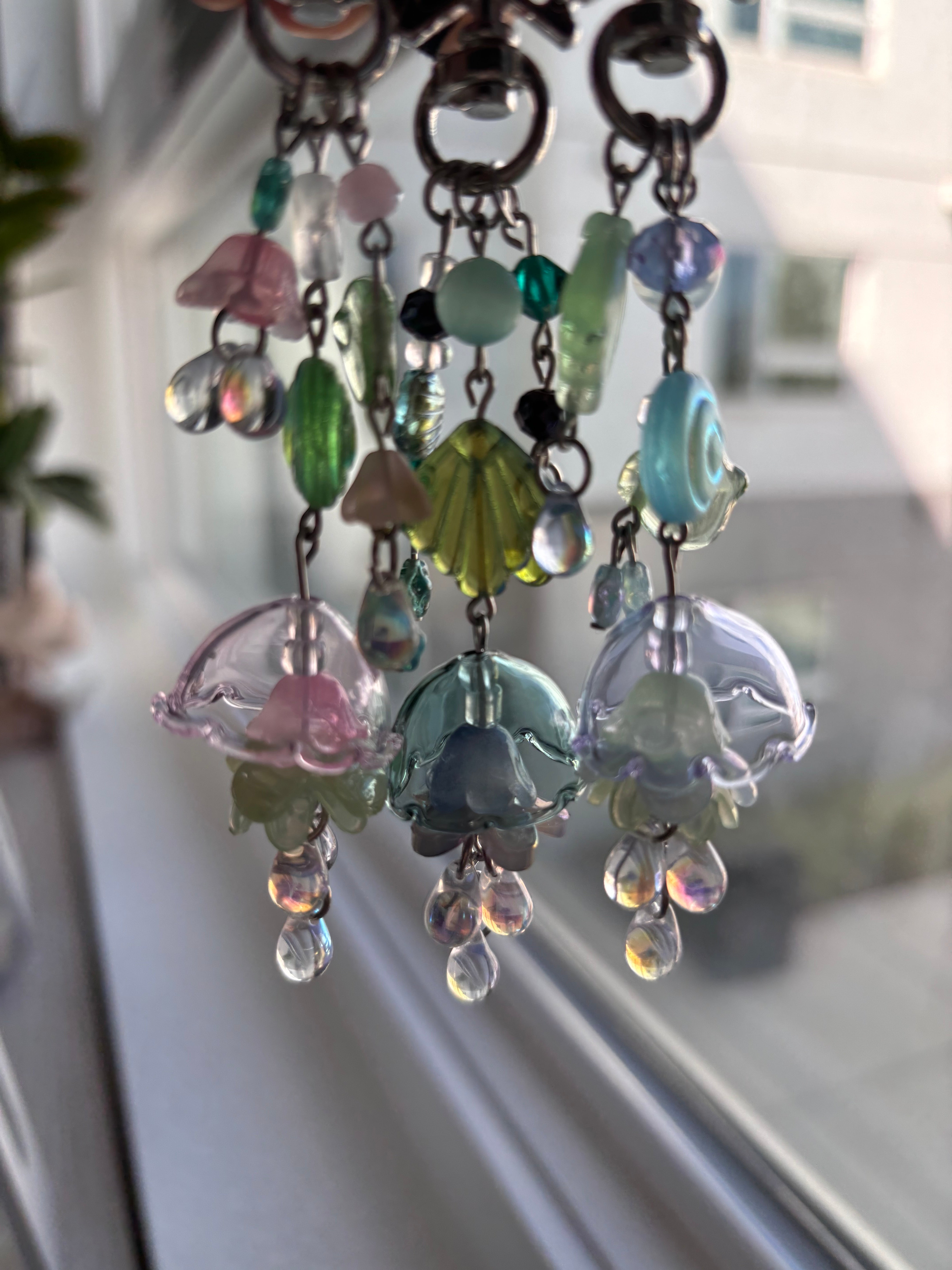 Jellyfish Collection