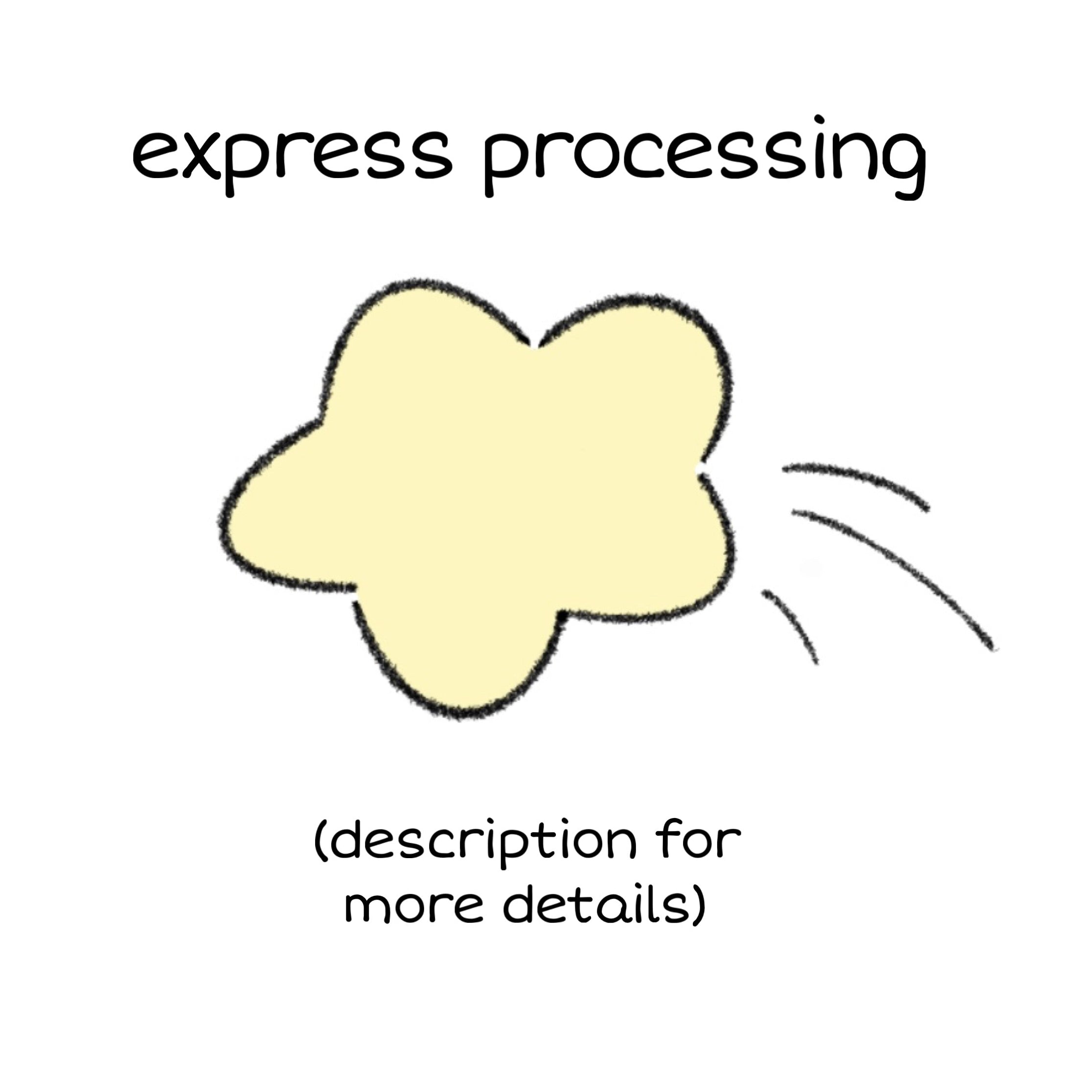 Express Processing